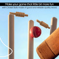 ND Sports Wooden Cricket Bails Set – 4-Piece Set of Premium English Ash Bails for Training & Match Play – Ideal for Cricket Balls and Cricket Practice