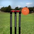Complete Plastic Cricket Set – Senior & Junior for Ages 9+ – High Performance & Durable Cricket Set for Training, Matches, Garden, Beach & Park Play