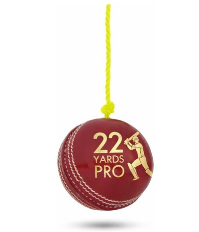 Cricket Batting Practice Leather String Ball - Hard Plastic Option Perfect for Hand-Eye Coordination Training (Leather String Ball)