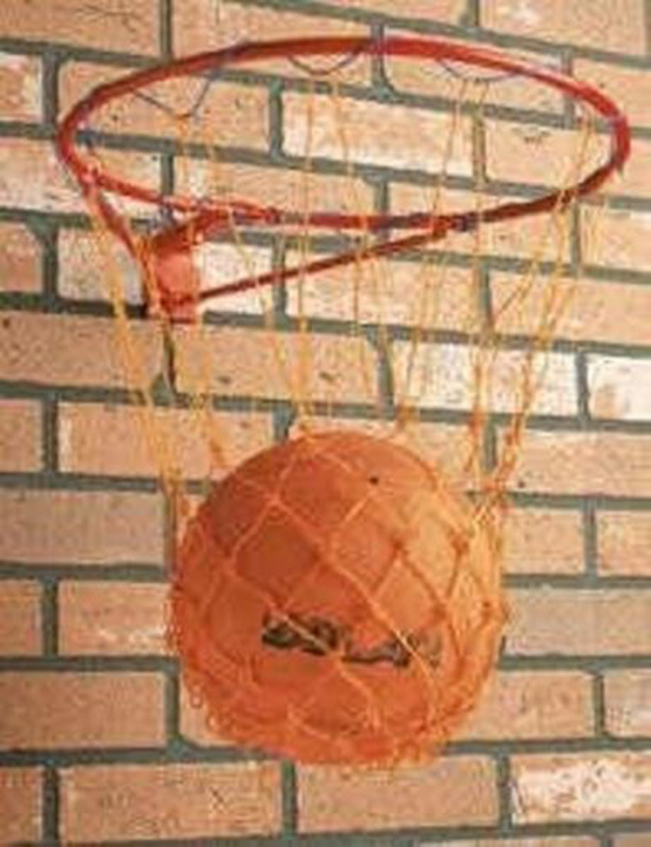 Netball Outdoor Fun Netball Ring & Net Set – NDSports