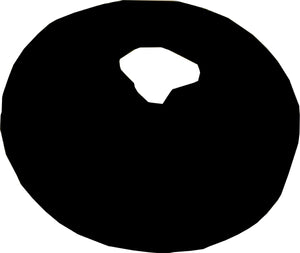 ND Field Marker Saucer Cones Training Set Of 25 2" Black