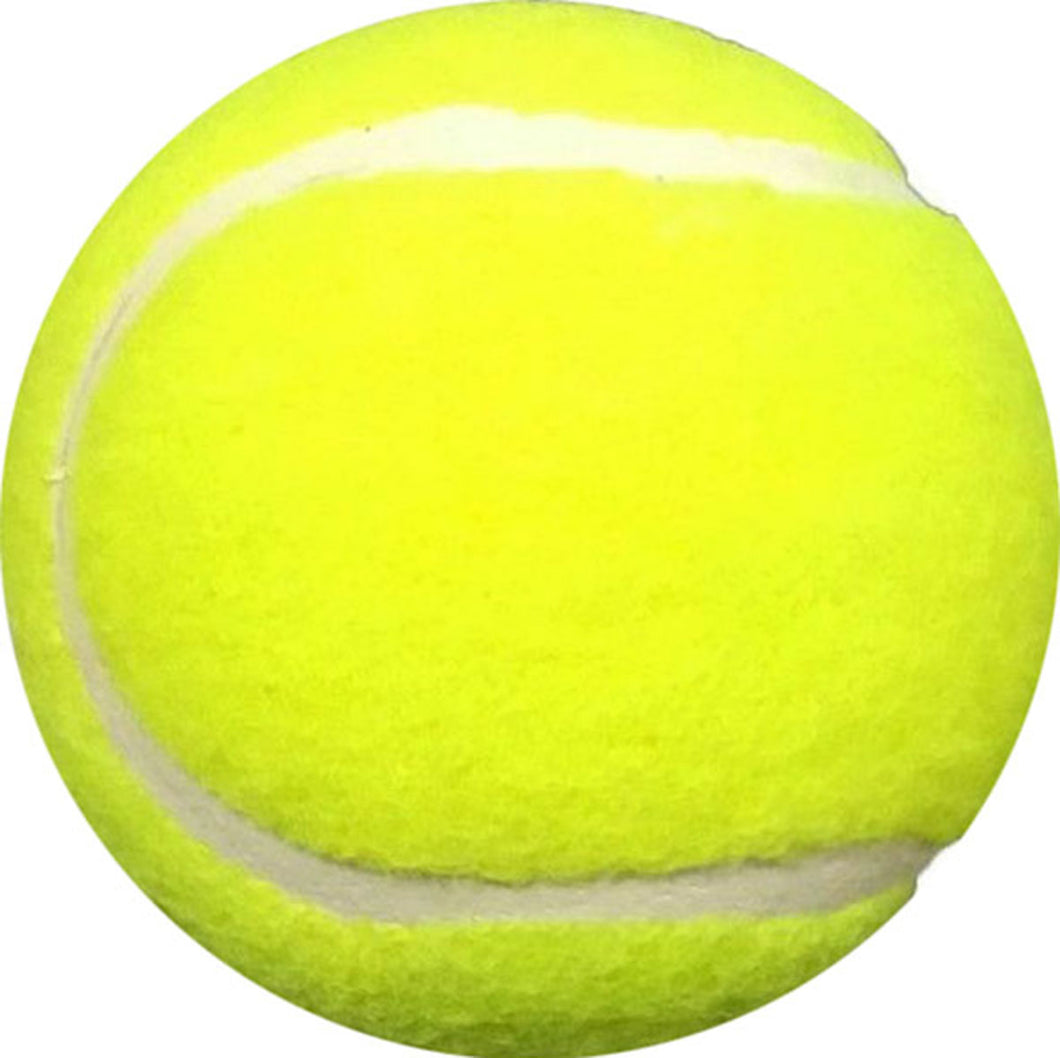 ND Heavy Light Tennis Ball