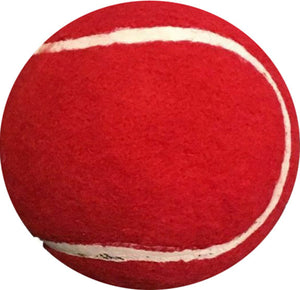 ND Heavy Light Tennis Ball